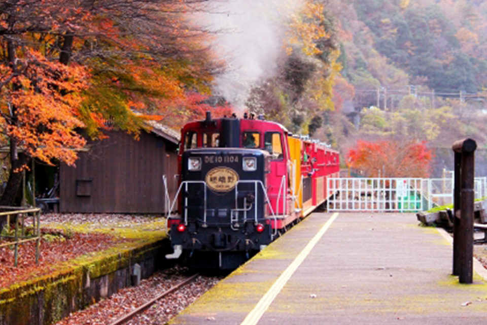 トロッコ列車