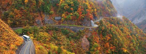 白山スーパー林道