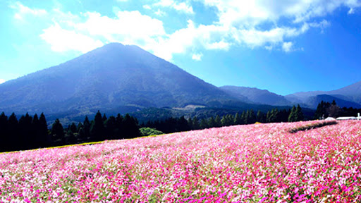 生駒高原