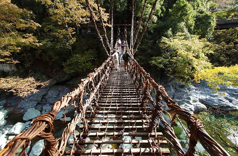 祖谷のかずら橋