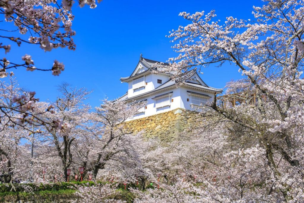 鶴山公園