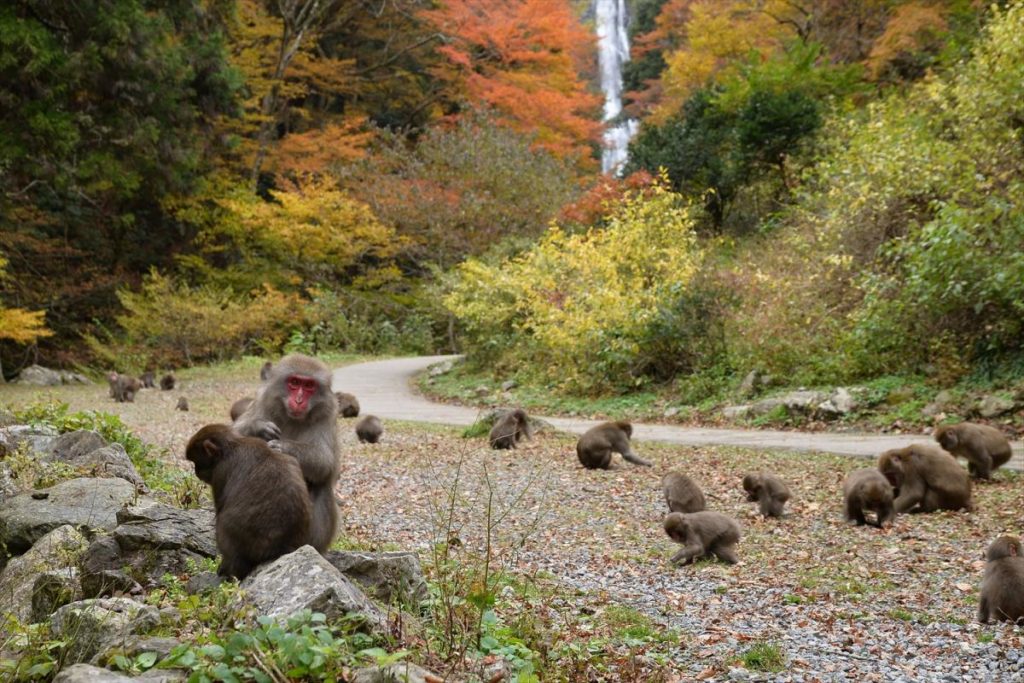 神庭の滝