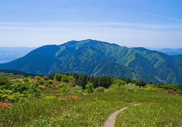 金剛山