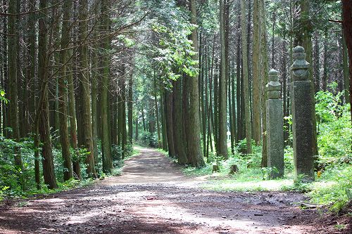 高野山町石道