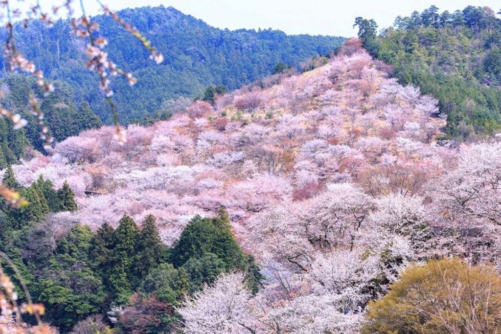 吉野山