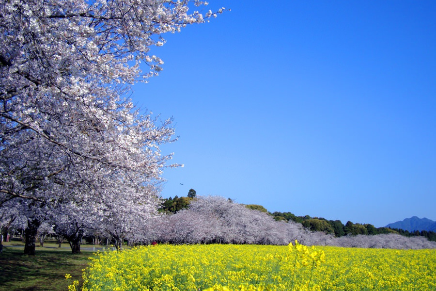 西都原古墳群