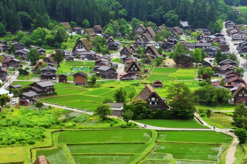 白川郷合掌造り集落