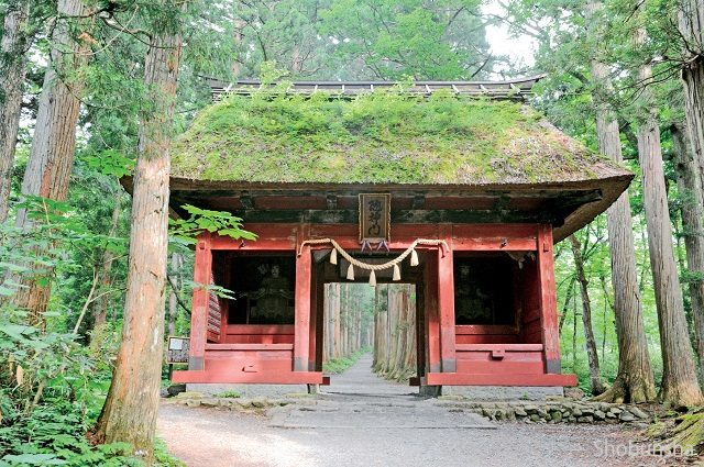 戸隠神社