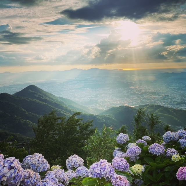 皿倉山の景色